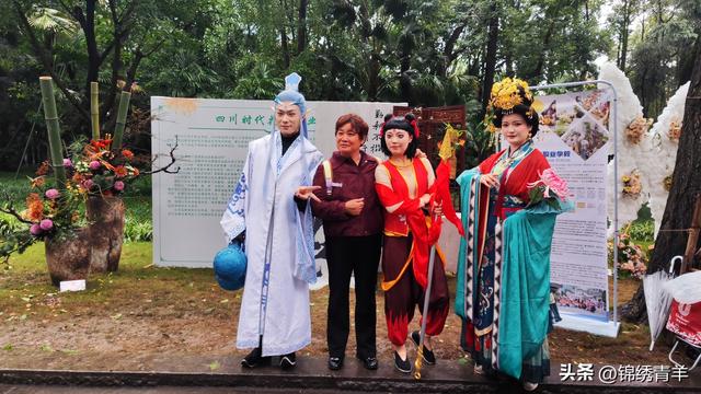 菊韵蓉城秋意浓 人民公园菊花赏花盛宴启幕