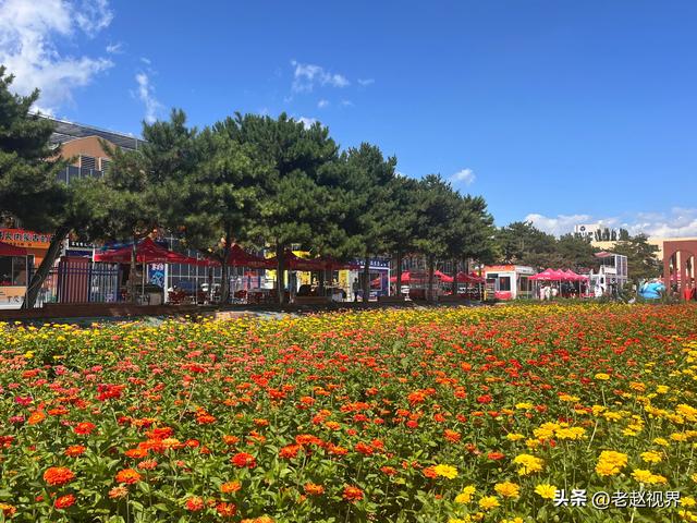 探秘呼和浩特！北疆农牧科技文化园，解锁城市里的田园新玩法！