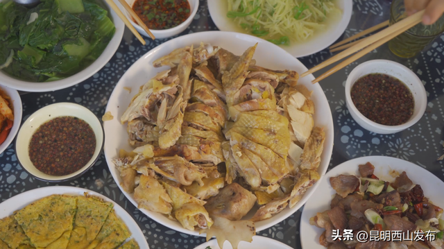 湖畔西山 清凉一夏 | 2025昆明“滇生菌物生活季”启幕，西山商文旅消费盛宴全面开启