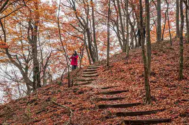 四川通江：黄柏林场红叶满坡红