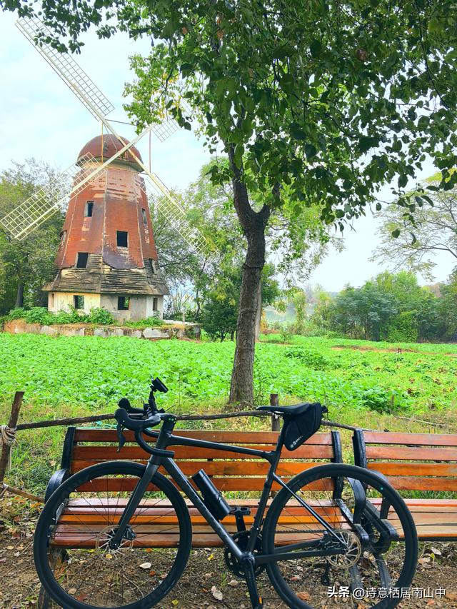 骑行听书：让快乐加倍，让风与墨香撞个满怀