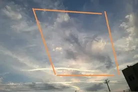 西安的龙现身了，我在2019年无意中拍的，像不像彩凤？图片