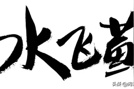“肝脏守护神”水飞蓟：科学揭秘其神奇护肝功效，远离肝病困扰！图片
