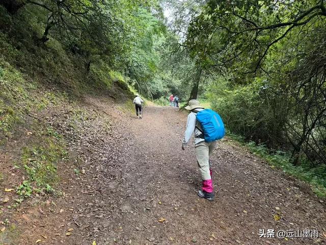 攀登昆明十峰之宜良老爷山，经历密林大雨考验，惊喜交加，难忘