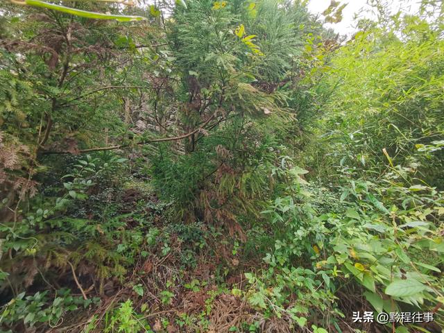 偏远乡野中寻找一个古寺遗址，探险一个深邃溶洞