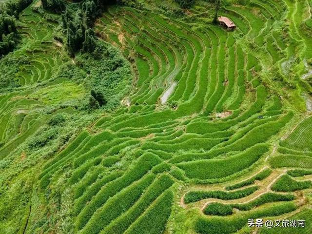 免票！半价 ！湖南这些景区送福利