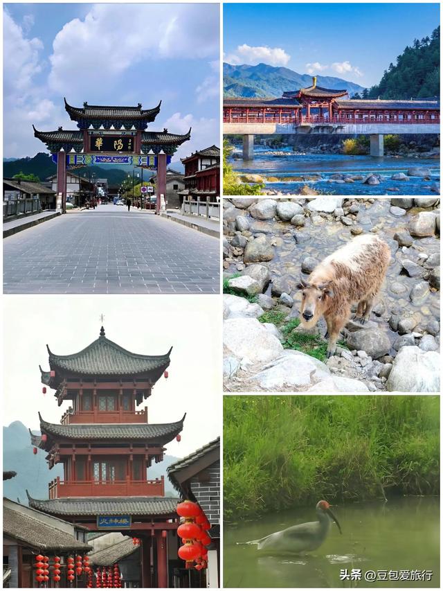 汉中深度游指南：历史、山水与熊猫的盛宴