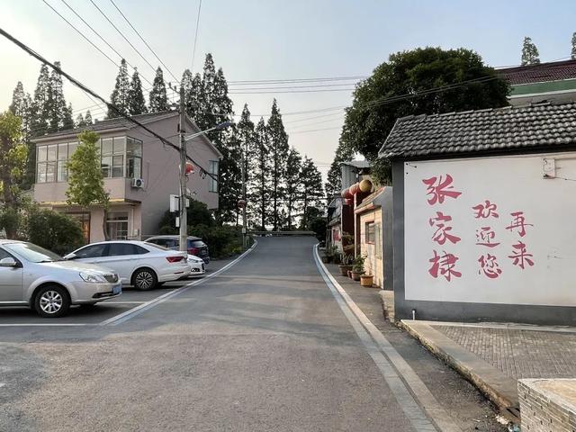 现场实拍界牌镇张家埭村，村景好美