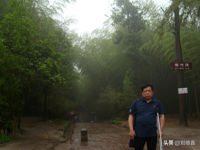 畅游蜀南竹海