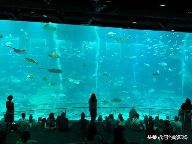 2025暑假 新加坡顺道游（二）