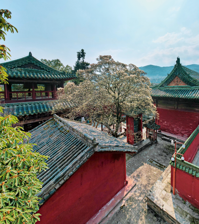 青睐绵阳 || 这个春天，来平武赴一场Color Walk