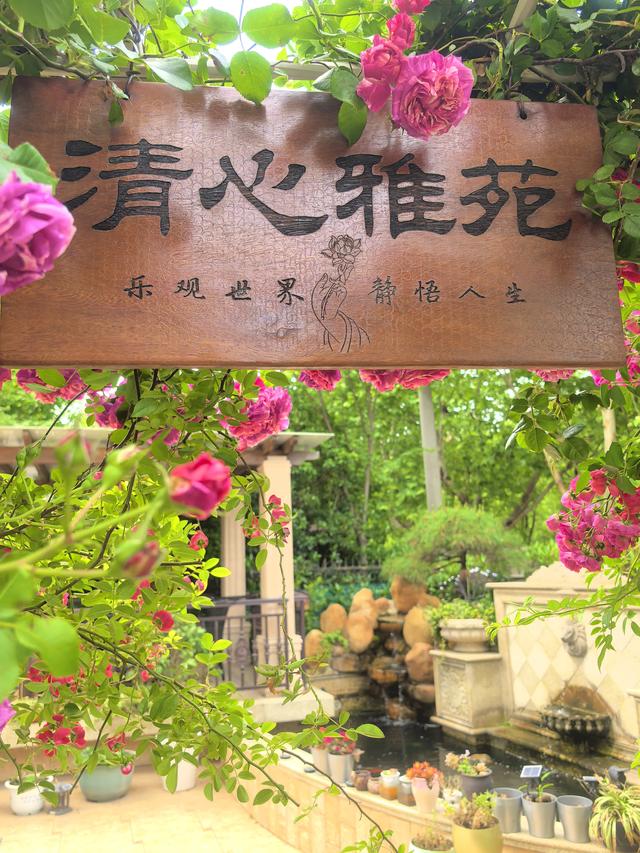 立冬桂晚，秋韵未阑