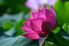 贫富皆有因，缘分皆有果！10句因果循环，一切皆有定数，别不信！图片