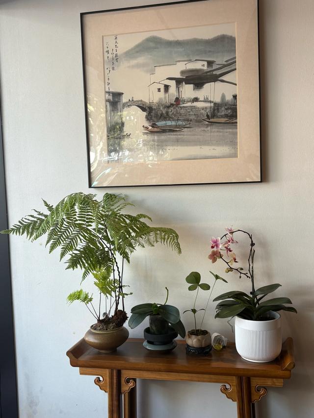 苏州博物馆的超详细参观体验以及周边美食推荐