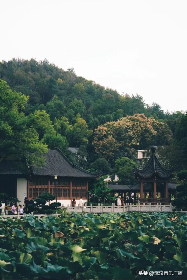 地铁+徒步，秋天的马鞍山公园，太好逛了！