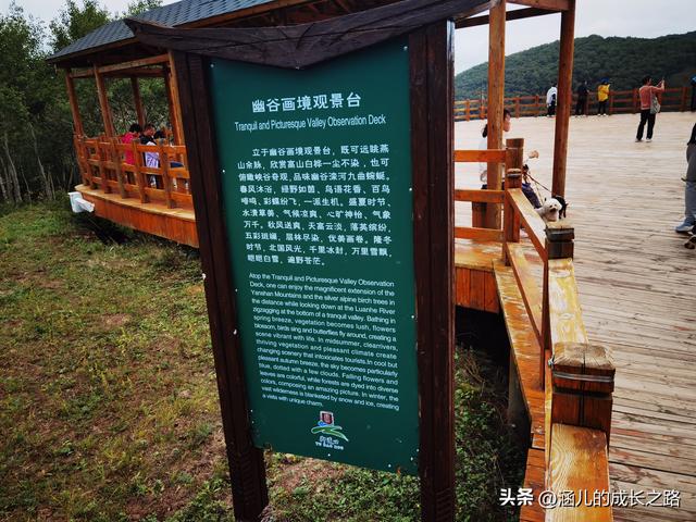 总要去趟草原吧！自驾塞罕坝和乌兰布统超简攻略（附图超全）