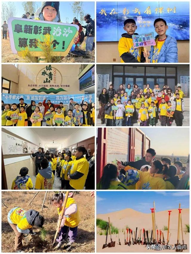 “我在彰武有棵树”生态主题研学游成果显著