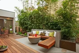 庭院栽植竹子要选择合适的位置，避免给生活带来不便图片