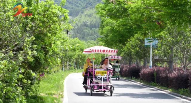 漳平市芦芝镇圆潭村：格桑花海引客来 多元体验乐翻天