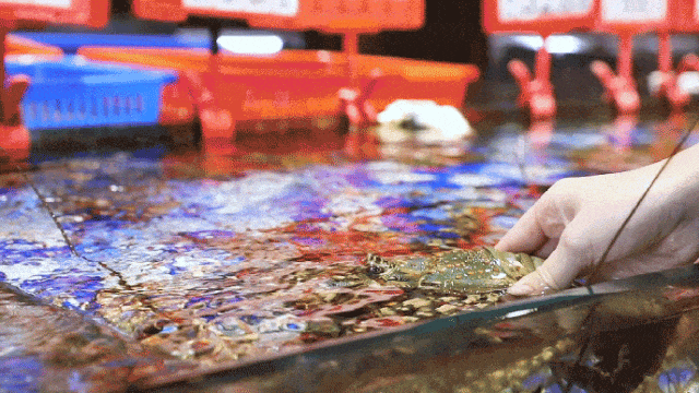 反向旅游，你不知道深圳的海有多绝