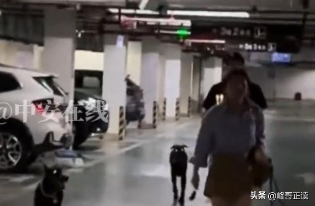 丹阳杜宾犬最新后续：网友不满处理依旧炸锅，养狗人终于登门道歉
