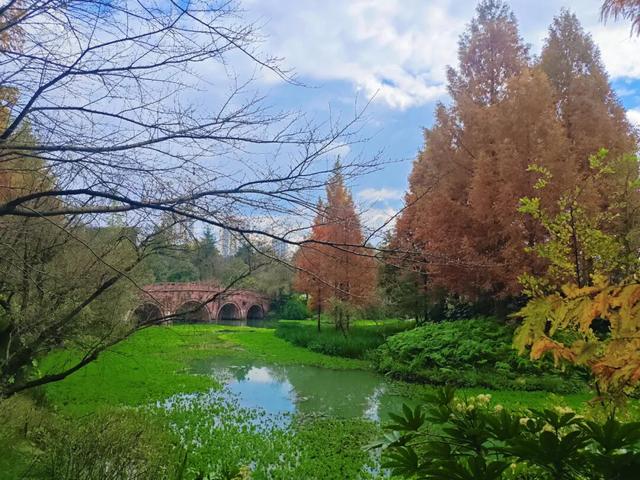 值此红黄，新蒲初冬画卷已打开！