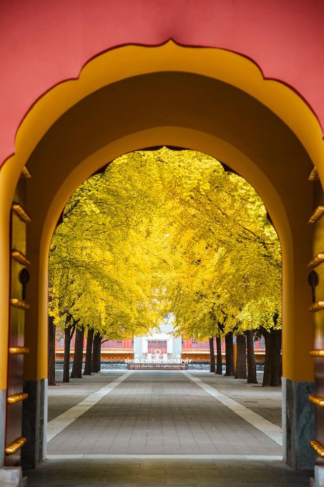 北京第一座城市公园，门票仅3元，却被很多游客当作进故宫的捷径