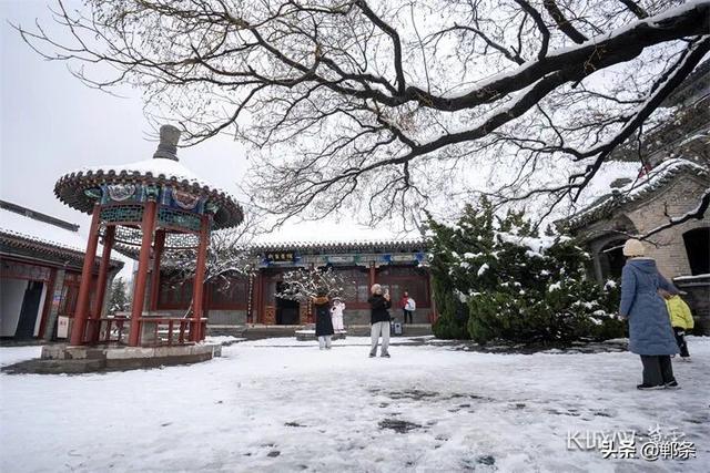 雪落丛台梅更香！