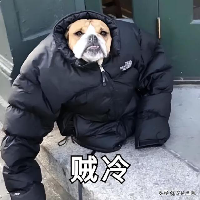 游客注意！拉萨要下雪了！