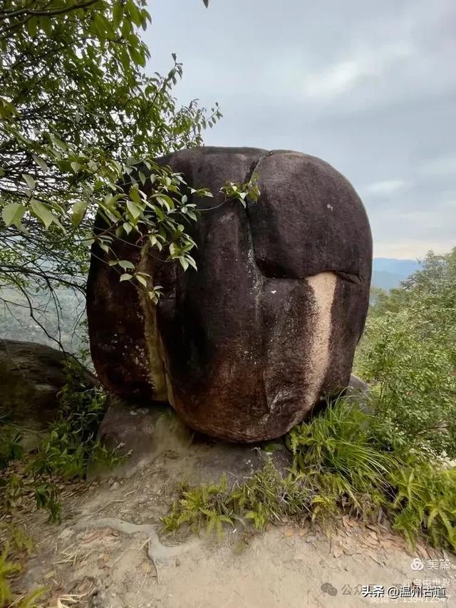 一步一景,奇石不断!温州这处奇石纷呈的的免费景区你可去过?