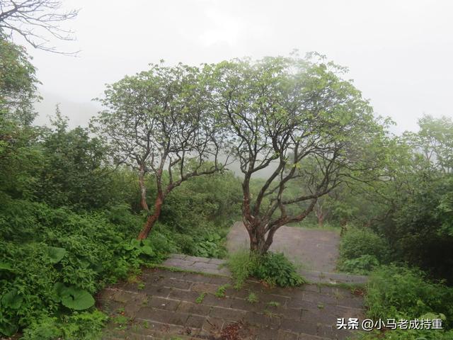 绵阳千佛山爬山笔记