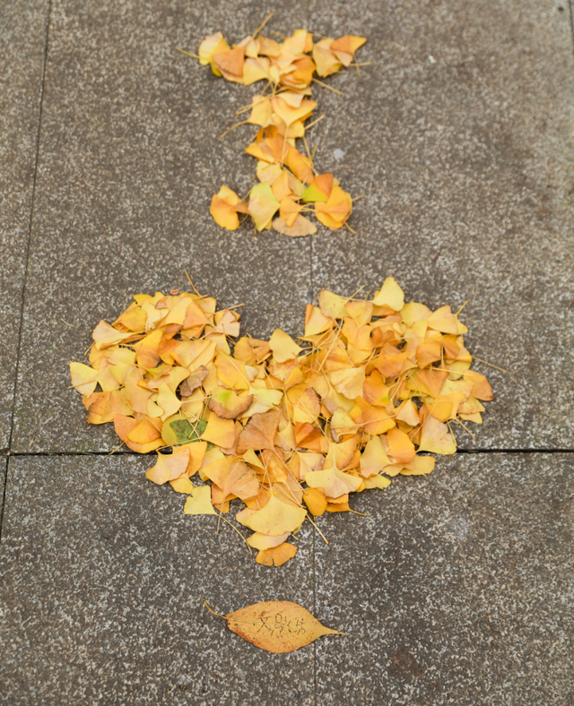 捡秋，在千年古城里体验“寻宝”游戏