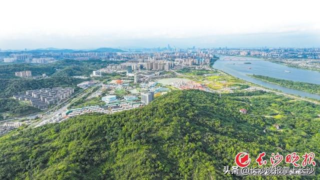 “大王”归来｜翻山阅岭——山水洲城·探山大型融媒体调查报告（六）