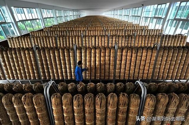 亲子家庭扎堆打卡！2025湖南工业游新路线官宣，玩法太上头了吧