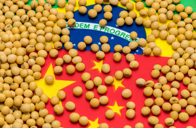 巴西大豆坐地起价影响几何