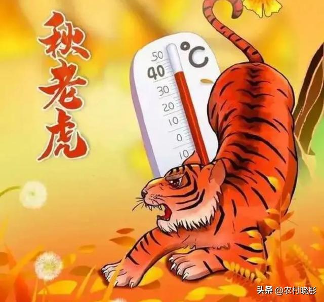 今日立秋，“热不热，看立秋”！今年秋天到底热不热，早看早知道