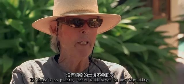 一对夫妻，为了一条狗，种出了一座森林