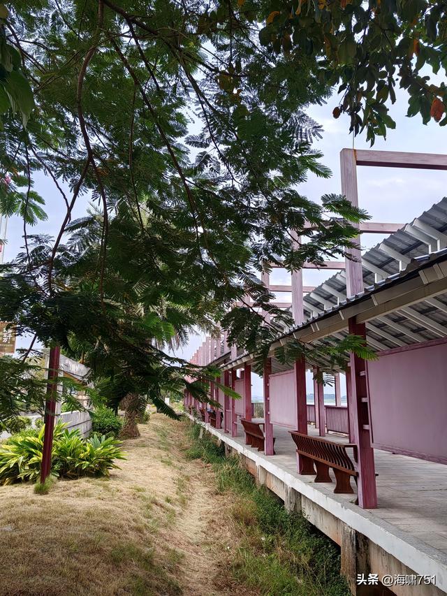 佛山三水芦苞花海生态公园