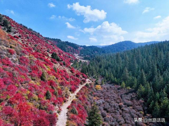 图集丨秋色斑斓 步入绿野仙踪的秘境——焉支山