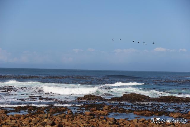 南部非洲：南非好旺角