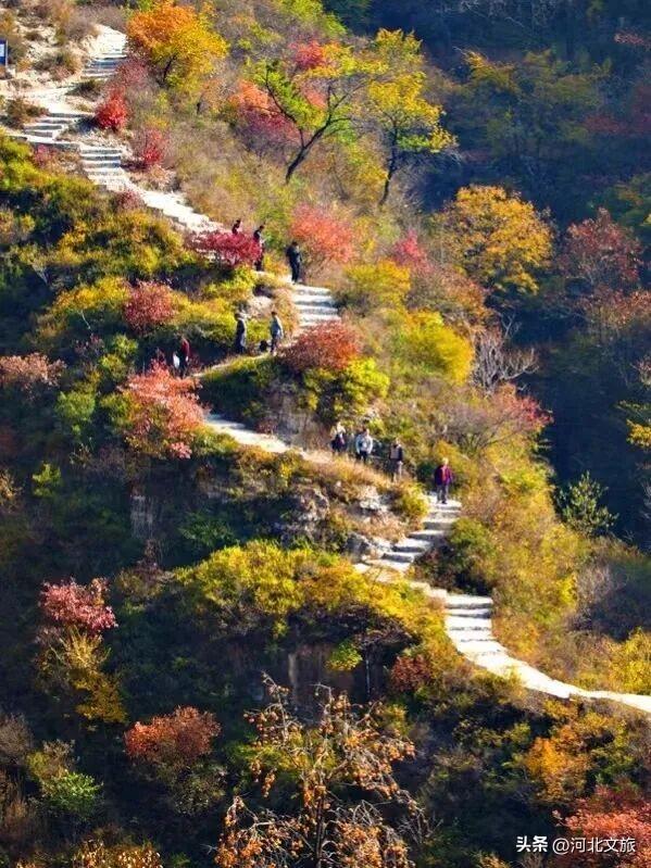 来保定，湖光山色+古镇烟火全都有！