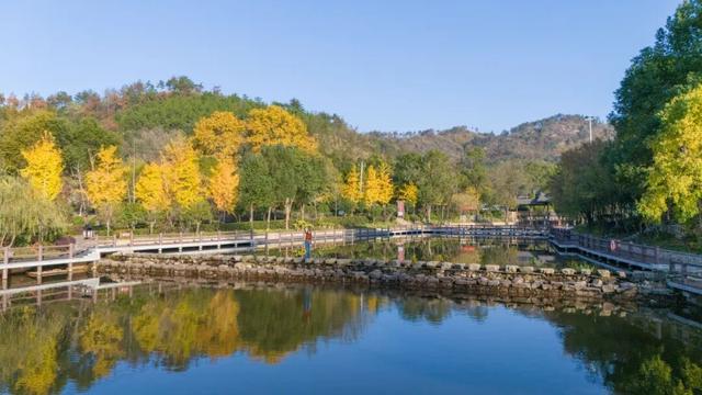 绝了！黄陂最被低估的宝藏赏秋地！