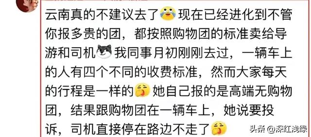 云南文旅天塌了!高端团130人被弃服务区6小时,不是钱的事
