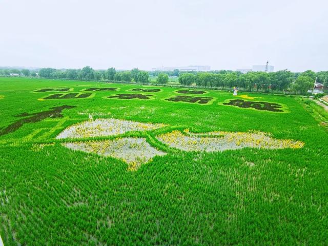 夏天必冲！丰台新增两家官方盖章的帐篷露营地！周末来王佐镇露营藏不住了！