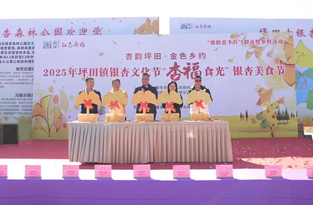 南雄举办银杏文化节暨“杏福时光”银杏美食节