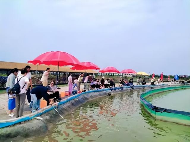 露营、烧烤、垂钓，就要来这些地方！
