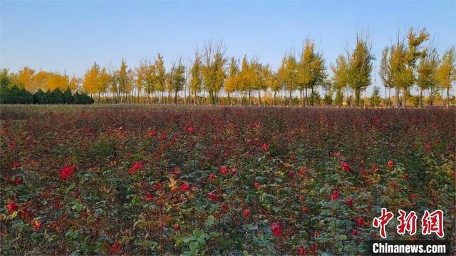 人这一辈子，一定要去一趟榆林！