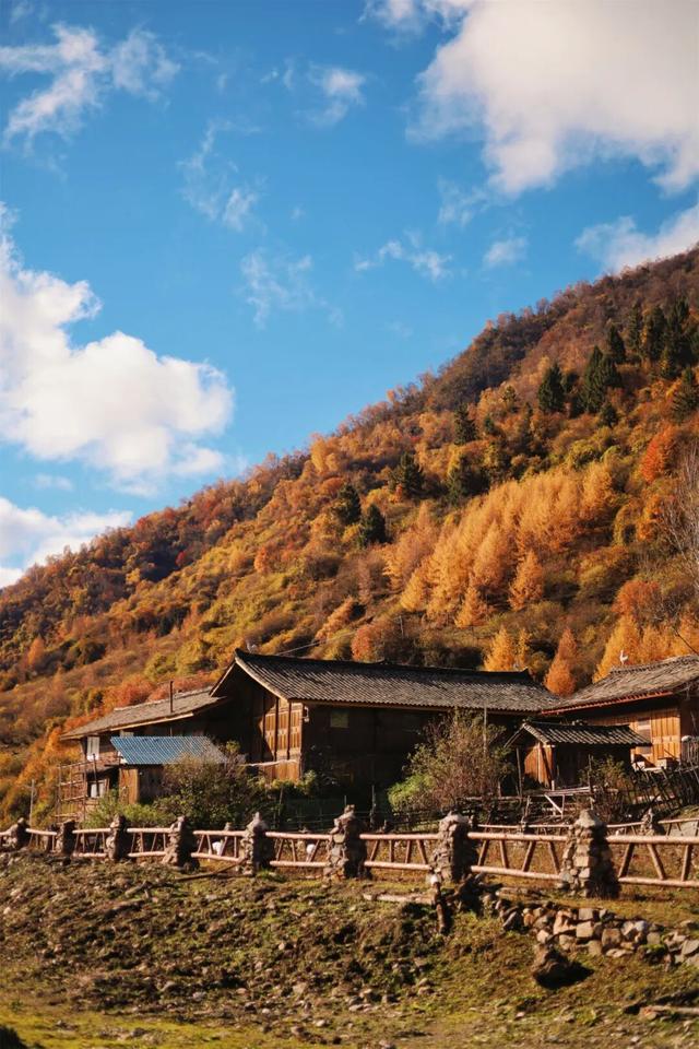 正式通车！全线免费！新挖赏秋天花板小城，绝美彩林不输九寨！地道美食50元吃爽！