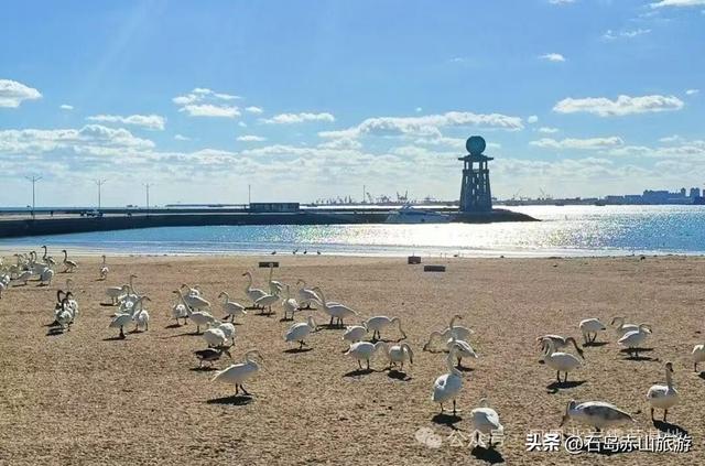 赤山红叶记：山海之间的秋日三重奏