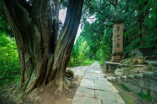 坐高铁游广元 | 诶？！我难道不是最会到剑阁旅游的小天才吗？